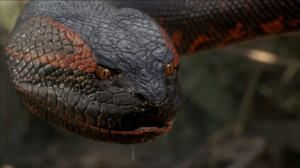 Anaconda movie review - Planet of the Capes